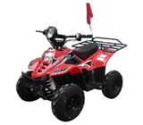 New ATV Quad for Sale